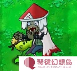 植物大战僵尸火影版游戏