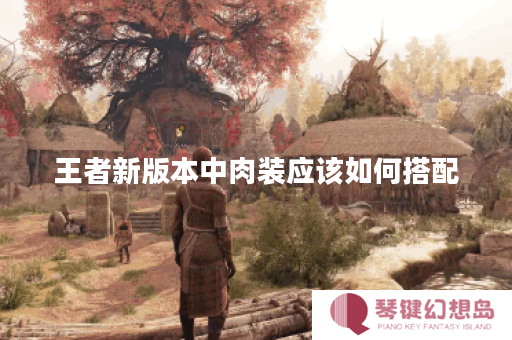 王者新版本中肉装应该如何搭配？肉装出装顺序有哪些推荐？