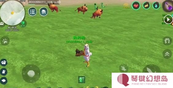 创造与魔法龙涎草的位置在哪