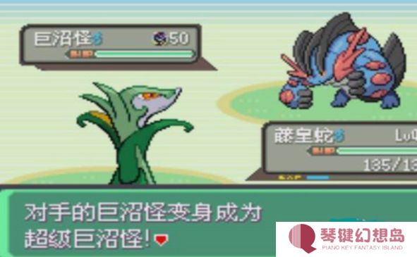 口袋妖怪究极绿宝石汉化版