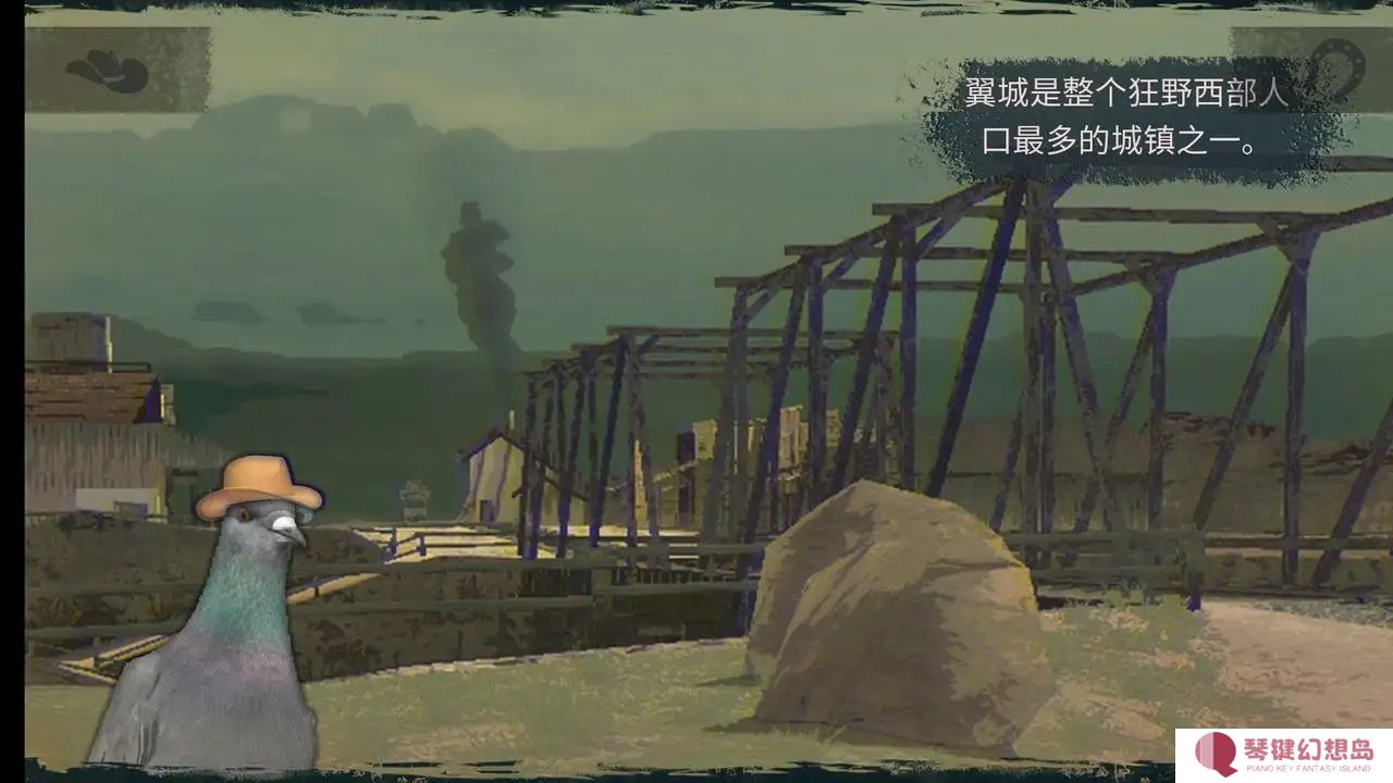 鸽子西部鸽子约翰尼