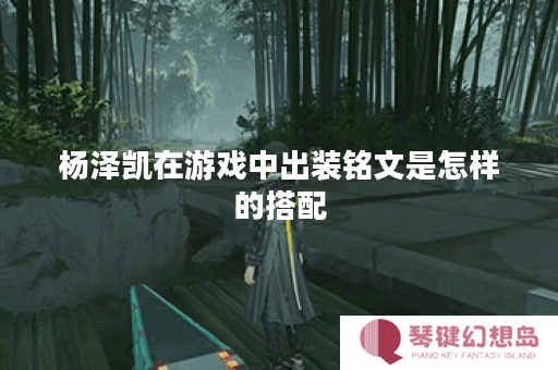 杨泽凯在游戏中出装铭文是怎样的搭配？如何合理选择出装铭文？