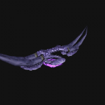 魔兽世界梅尔莫塔的暮色长弓怎么获得 魔兽世界梅尔莫塔的暮色长弓怎么获得