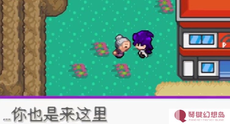 精灵宝可梦百万能量