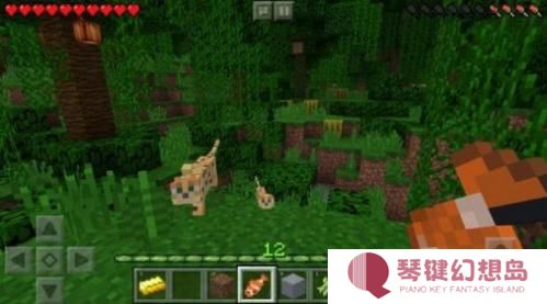 我的世界1.20国际版