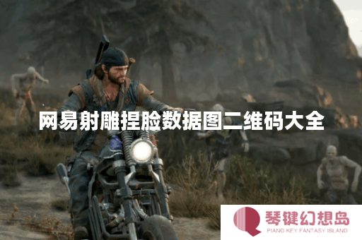 网易射雕捏脸数据图二维码大全