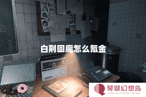 白荆回廊怎么氪金