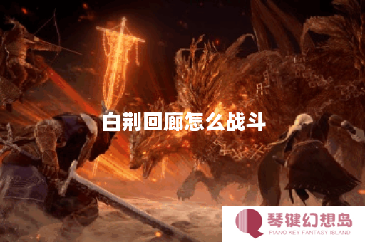 白荆回廊怎么战斗